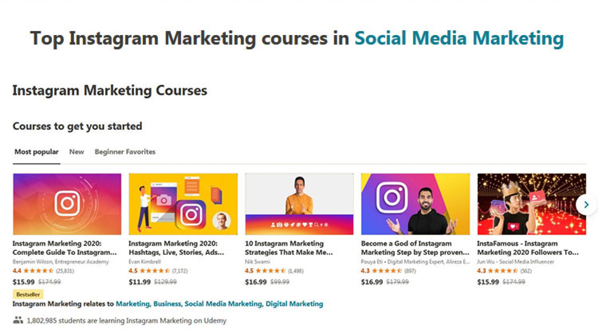 10+ Best Udemy Instagram Marketing Courses for (2021)