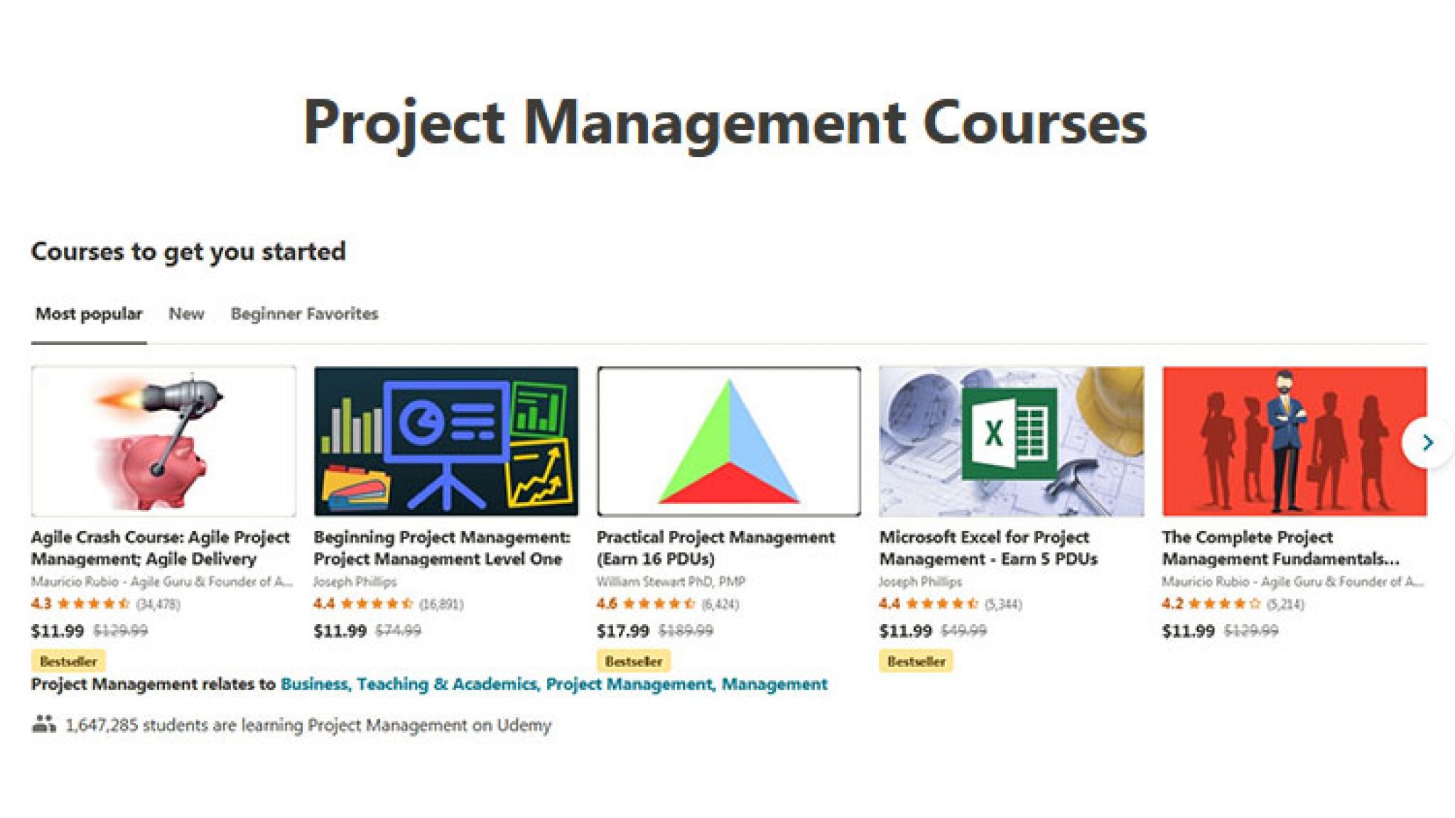 project management udemy courses